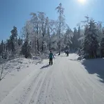 Nyaraló In *