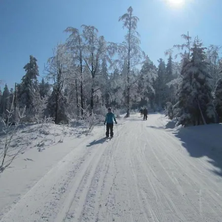 Near The Forest In Plankenstein