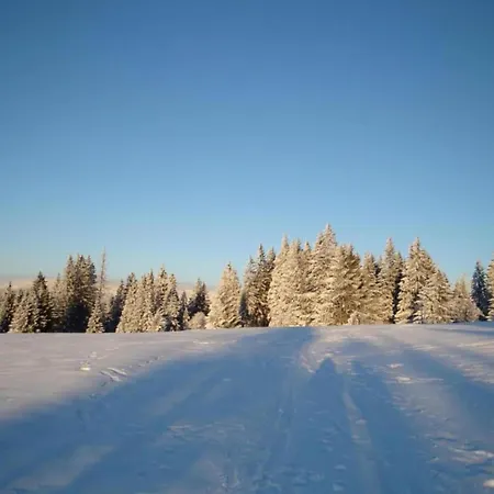 Near The Forest In Plankenstein Σπίτι διακοπών