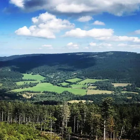 Near The Forest In Plankenstein * Plankenfels